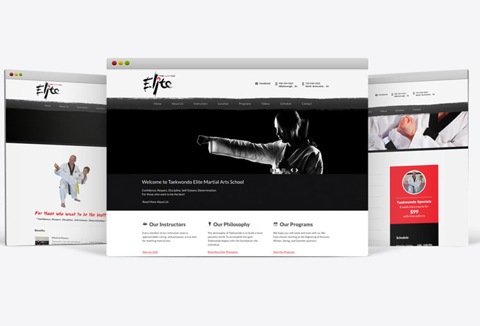 Taekwondo Elite WordPress Website