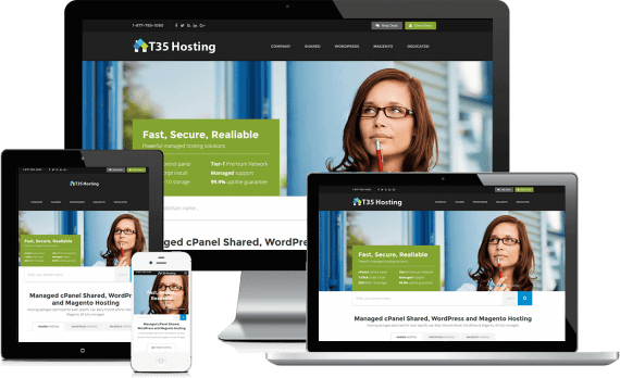 T35 Hosting PPC Marketing Paid Search