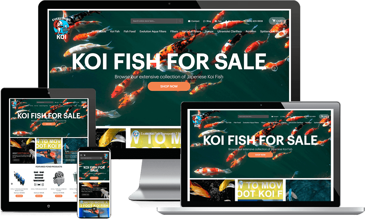 Everything Koi Responsive